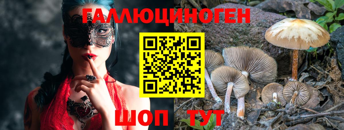 Псилоцибиновые грибы мицелий Егорьевск
